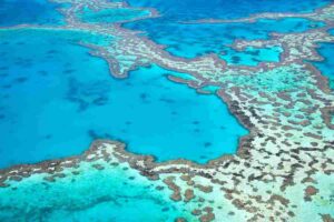 barriera corallina australiana rischio