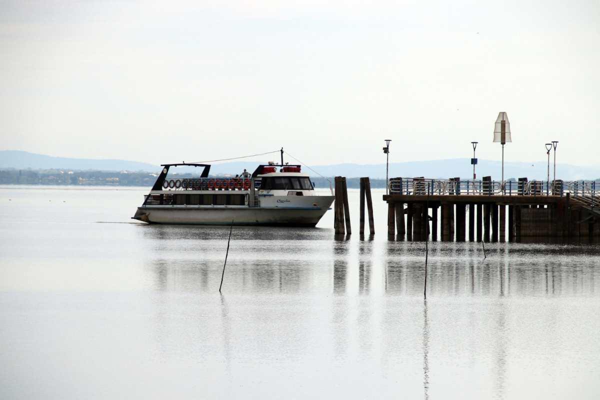 invasione carassio lago trasimeno