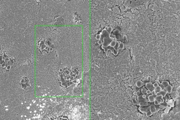 Fate attenzione se scaldate i cibi nel microonde