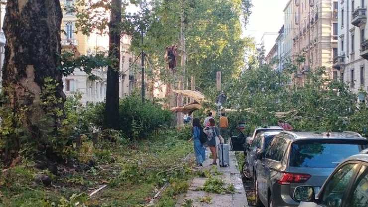 Milano: dal nubifragio del 25 luglio è nato uno skate park