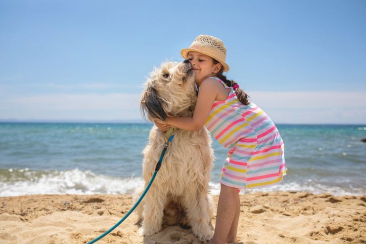 Come tenere gli animali al mare