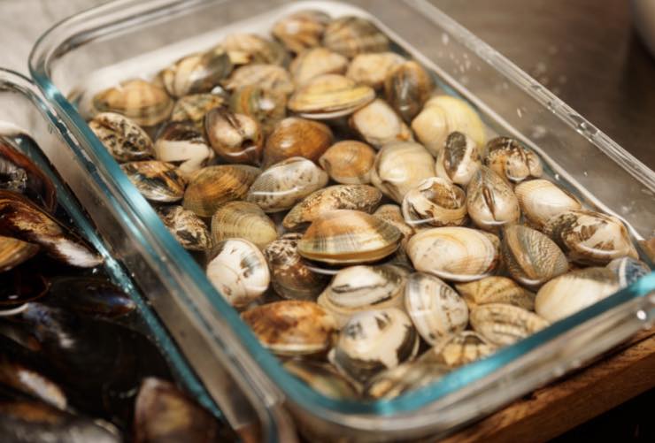 Come spurgare le vongole, ingrediente segreto