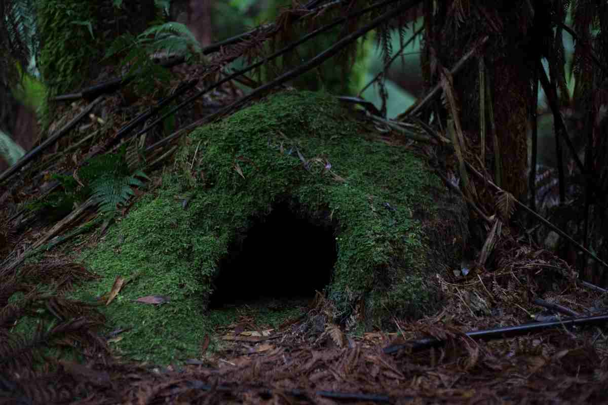 Entra in un tunnel e sparisce: donna ritrovata morta dopo giorni di ricerca