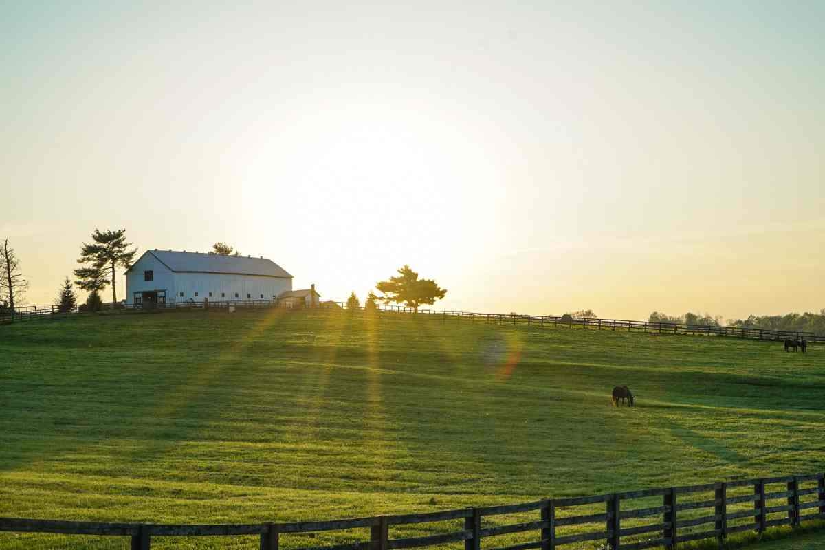 bando finanziamento agriturismo 