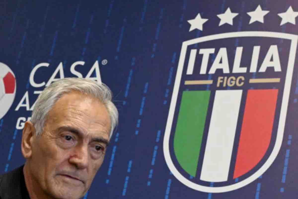 Il governo sulla Figc