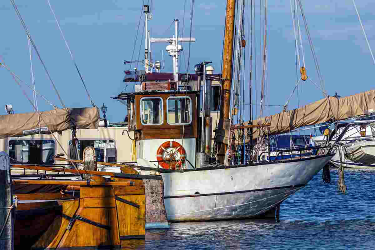 Trasporta 550 kg di spigole dove è vietato: fermato un pescatore