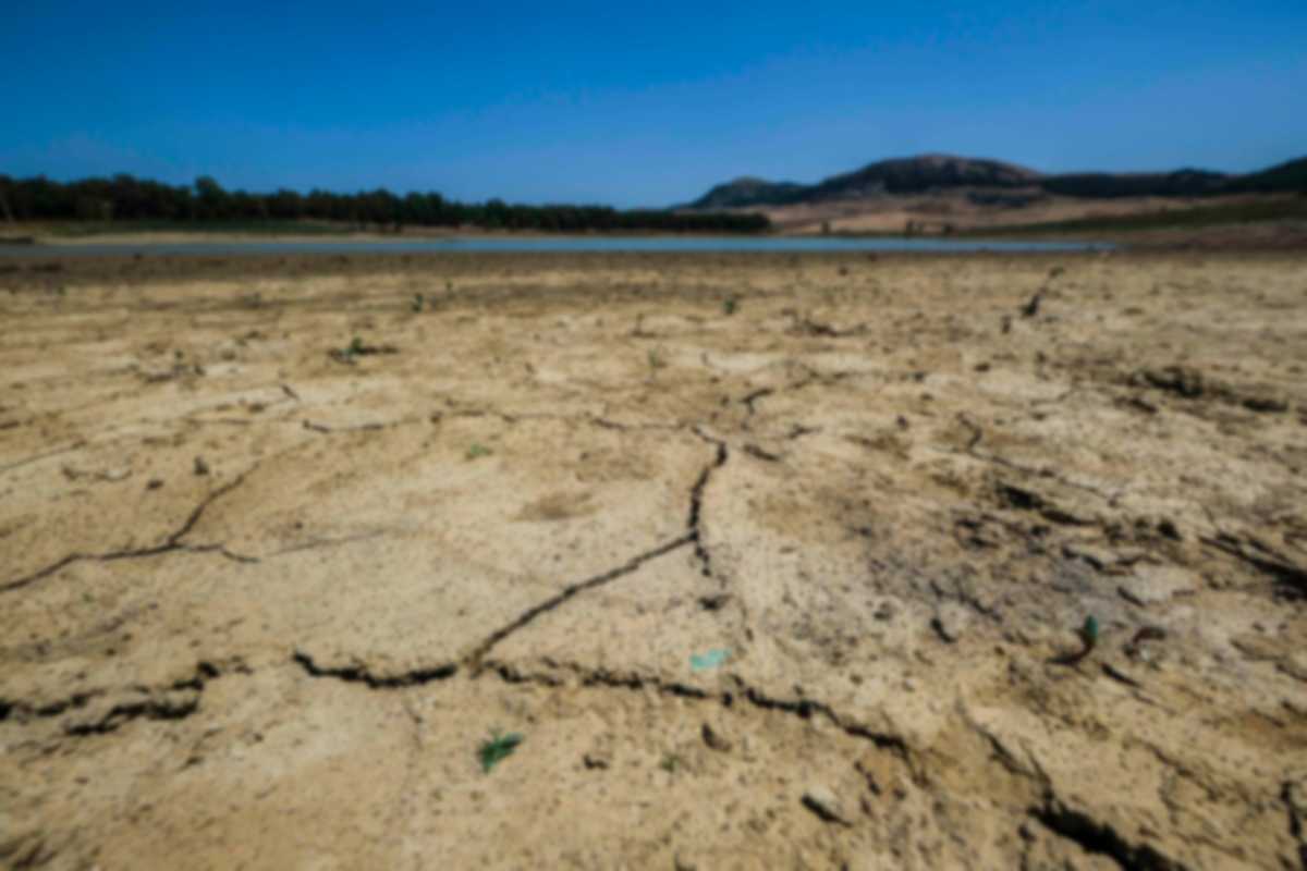 Siccità in Sicilia, la situazione è drammatica