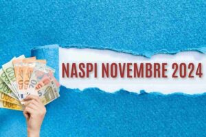 Naspi novembre 2024