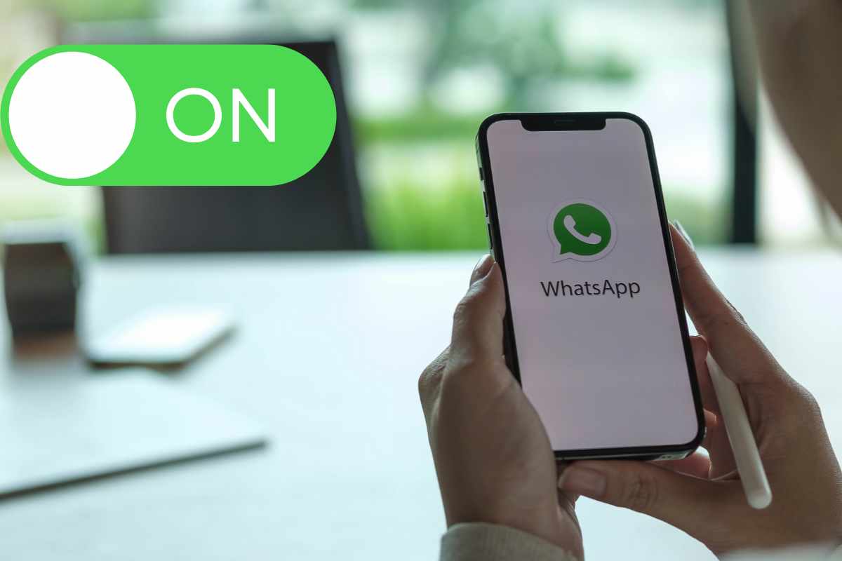 Se Whatsapp è fondamentale per il tuo lavoro, attiva quest’opzione: ti salverà