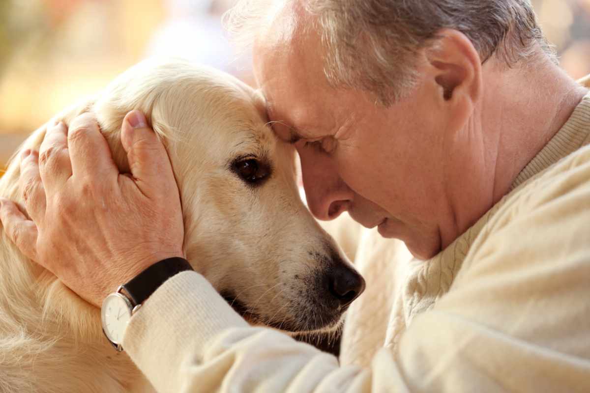 Gli animali domestici fanno bene: l’ennesimo studio (stavolta sui veterani) lo dimostra