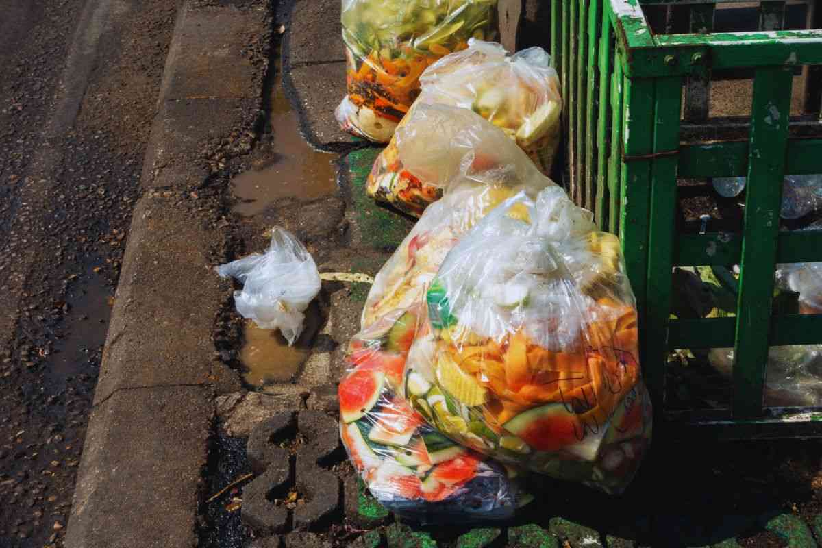 Giornata Europea contro lo spreco alimentare, Famiglia Zero Waste: “Ecco come ridurre i rifiuti”