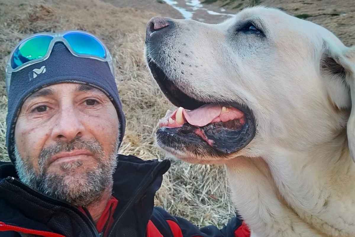 Soccorritore morto in Ucraina, è il primo italiano del conflitto. Il ricordo dell’amico: “Con i suoi amati cani Massimiliano Galletti ha salvato molte vite”