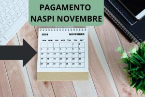 Naspi pagamento