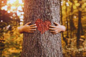 abbraccia un albero con un cuore disegnato