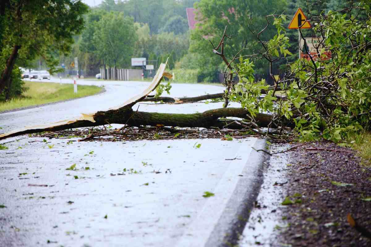 Meteo 18 24 novembre 2024: in arrivo venti di burrasca, freddo gelido. Tutte le zone a rischio