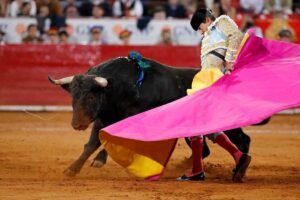 La foto di una Corrida