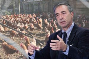 L'epidemiologo Massimo Ciccozzi e sullo sfondo un allevamento intensivo di galline