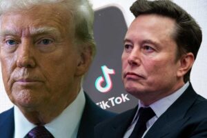 In sottofondo il social cinese TinTok e in primo piano Donald Trump ed Elon Musk