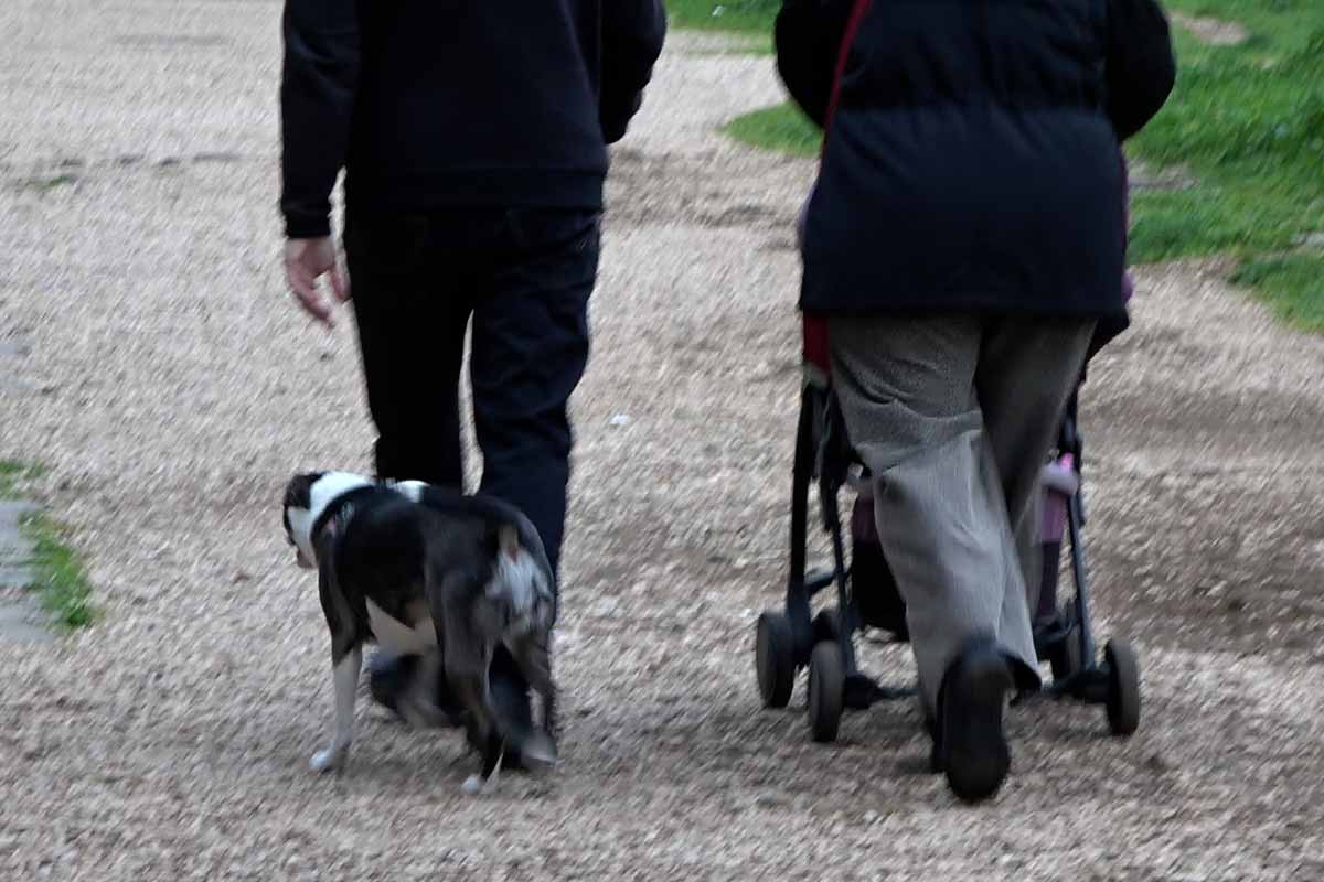 un cane con i suoi padroni