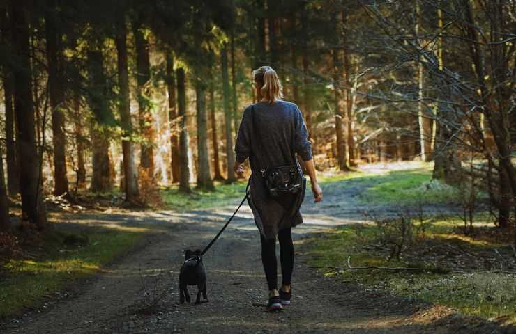 una donna che passeggia con un cane