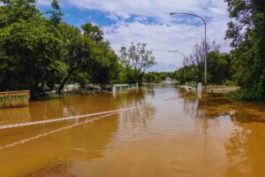 strada alberata con alluvione, l'acqua l'ha invasa